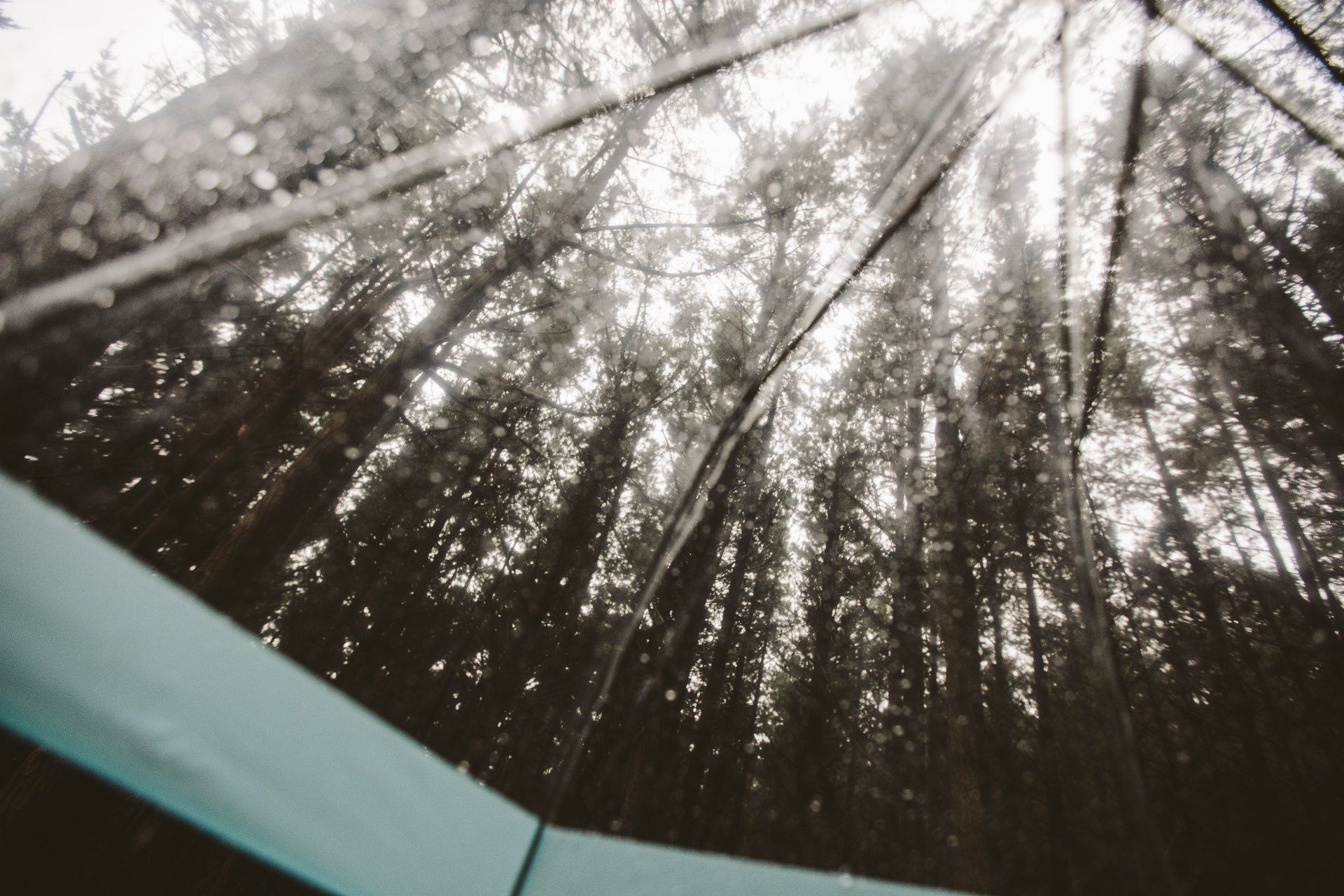 hamilton-wedding-portrait-photographer-at-168