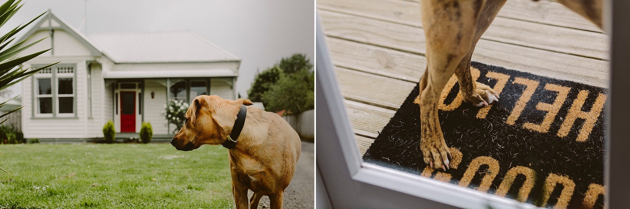 hamilton_wedding_photographer1-1