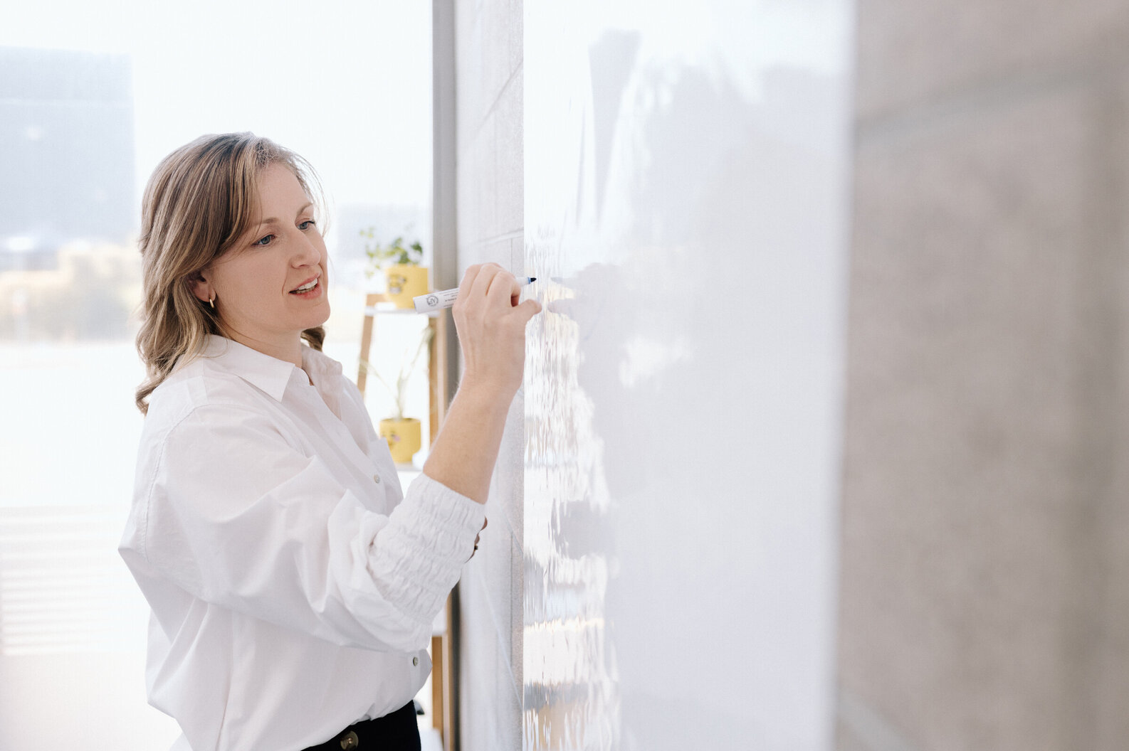 stapleton consulting